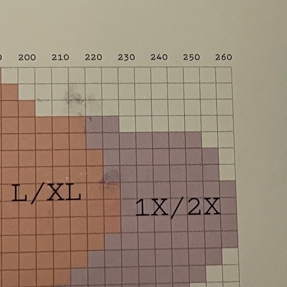 A new day Sheer Hosiery Light Shine 20 diner nude plus size 1x/2x - Picture 4 of 6